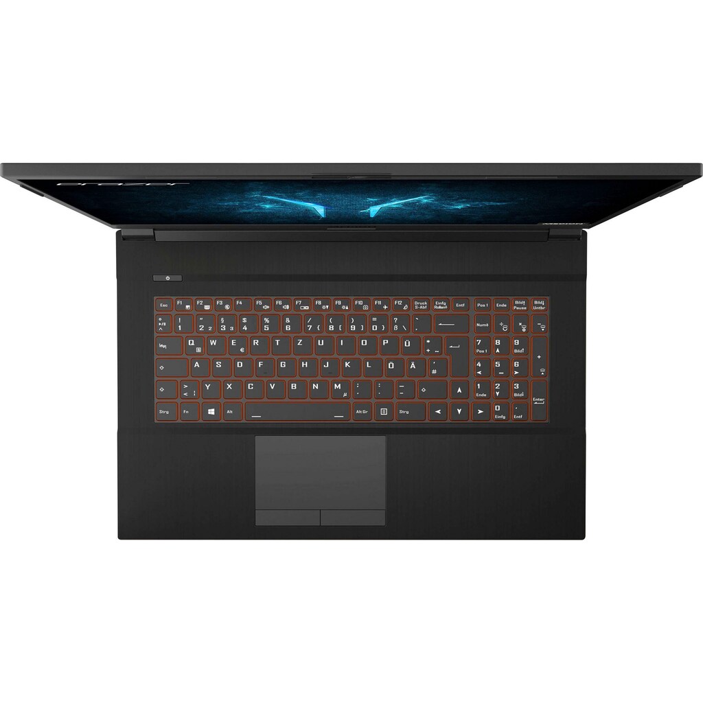 Medion® Gaming-Notebook »Defender P10«, 43,9 cm, / 17,3 Zoll, Intel, Core i5, GeForce RTX 3060, 1000 GB SSD