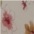 blume