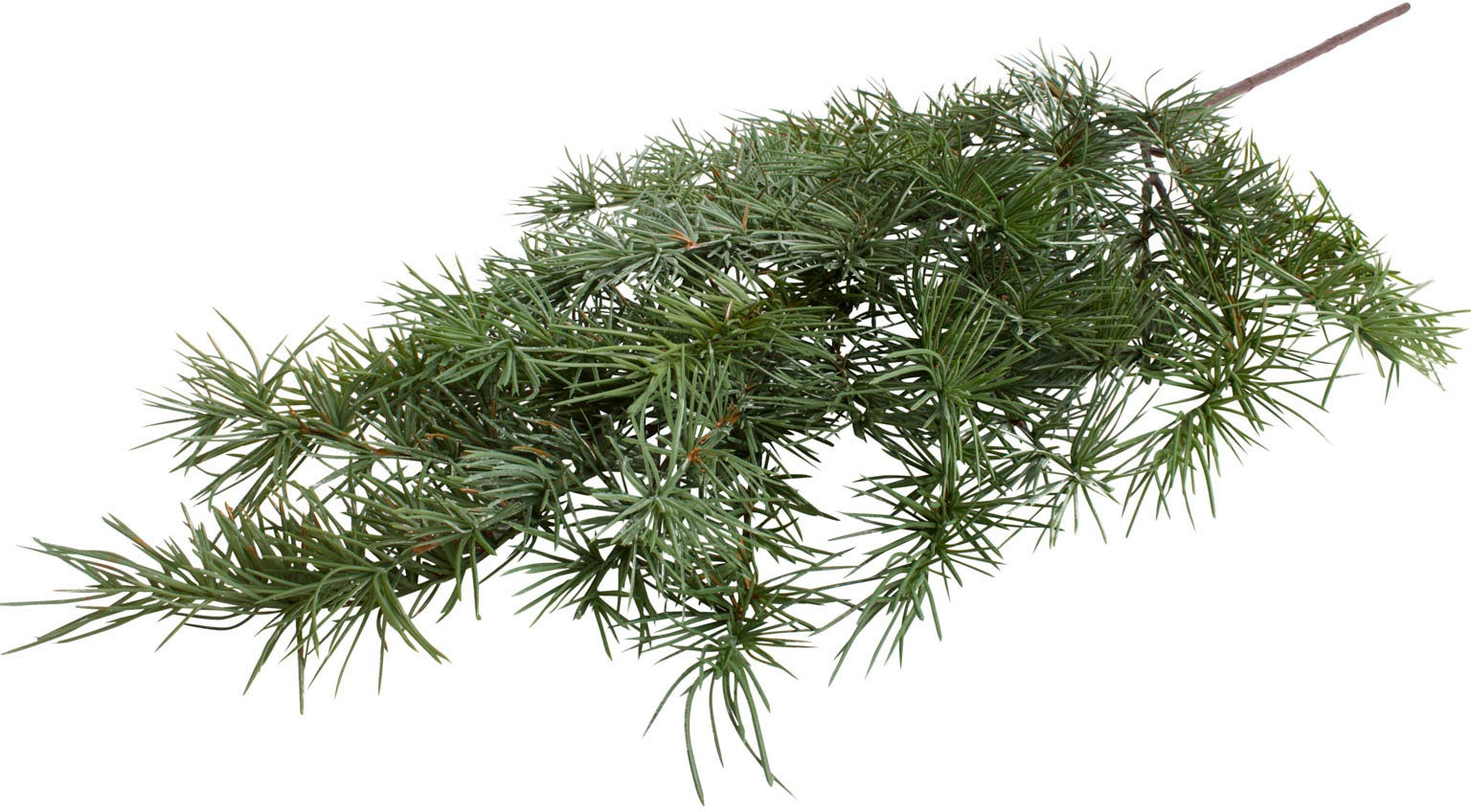 Botanic-Haus Kunstzweig "Zedernast" günstig online kaufen