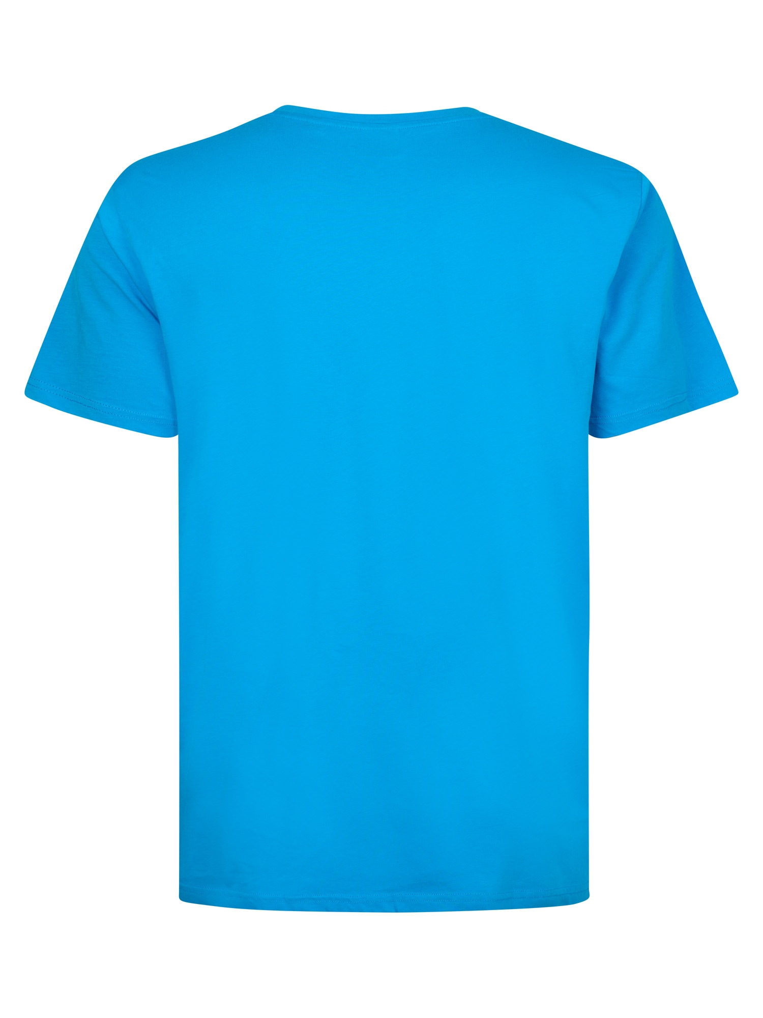 Petrol Industries Rundhalsshirt, mit Logo Stickerei