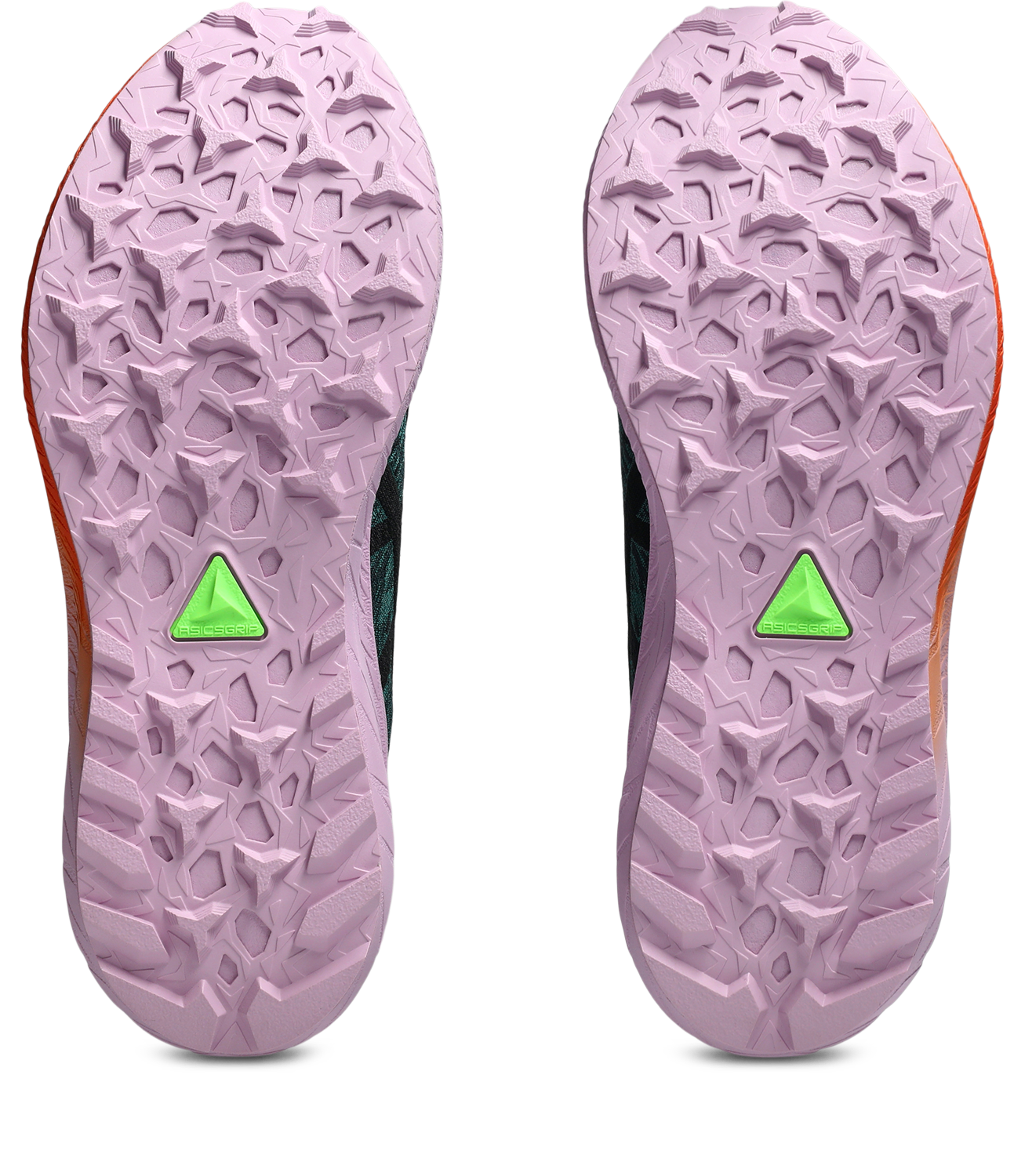Asics Trailrunningschuh »Fuji Lite 5«, Trailrunningschuh
