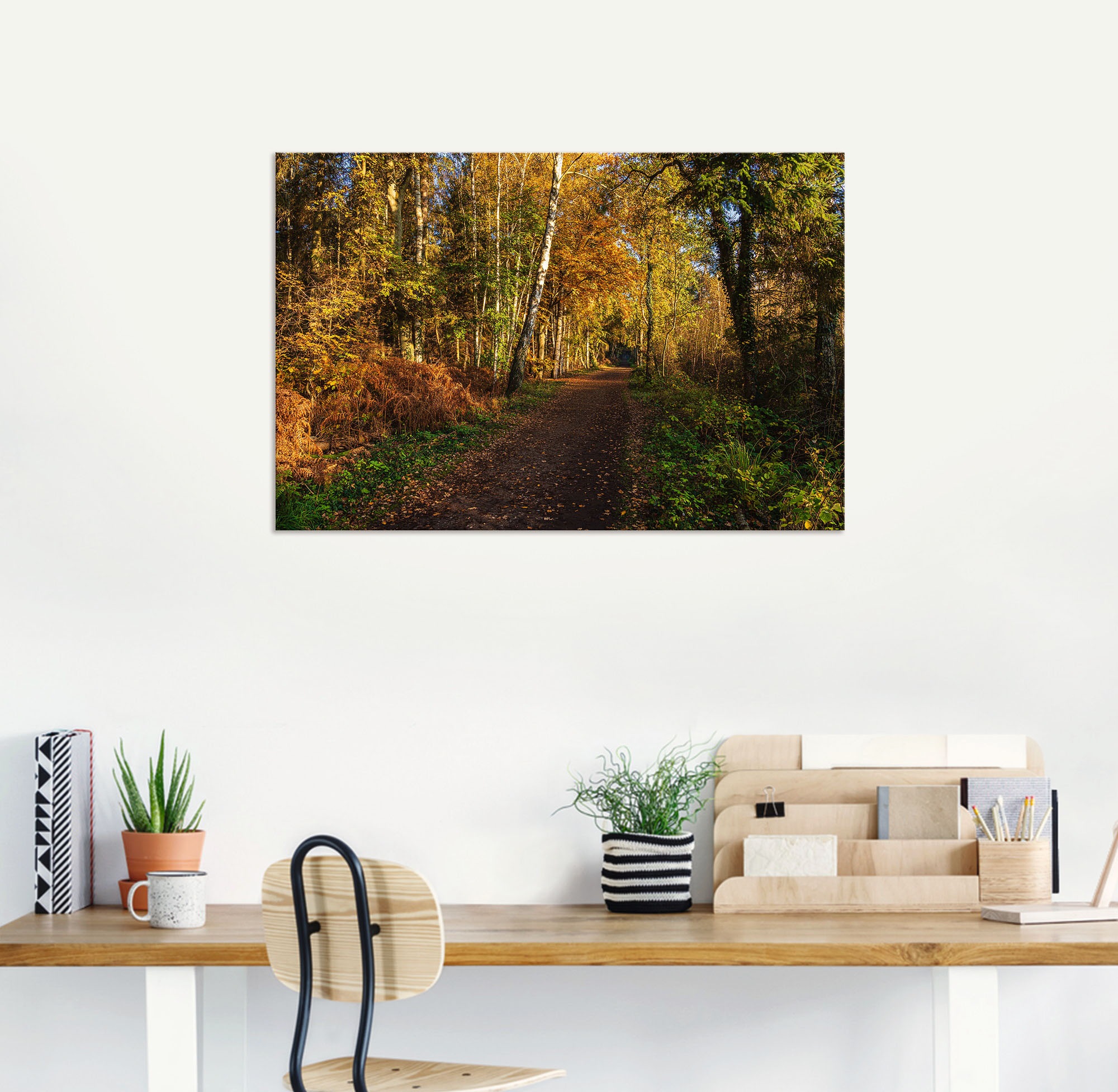 Artland Wandbild »Bäume herbstlich auf dem Fischland-Darß«, Waldbilder, (1 St.), als Alubild, Leinwandbild, Wandaufkleber oder Poster in versch. Größen