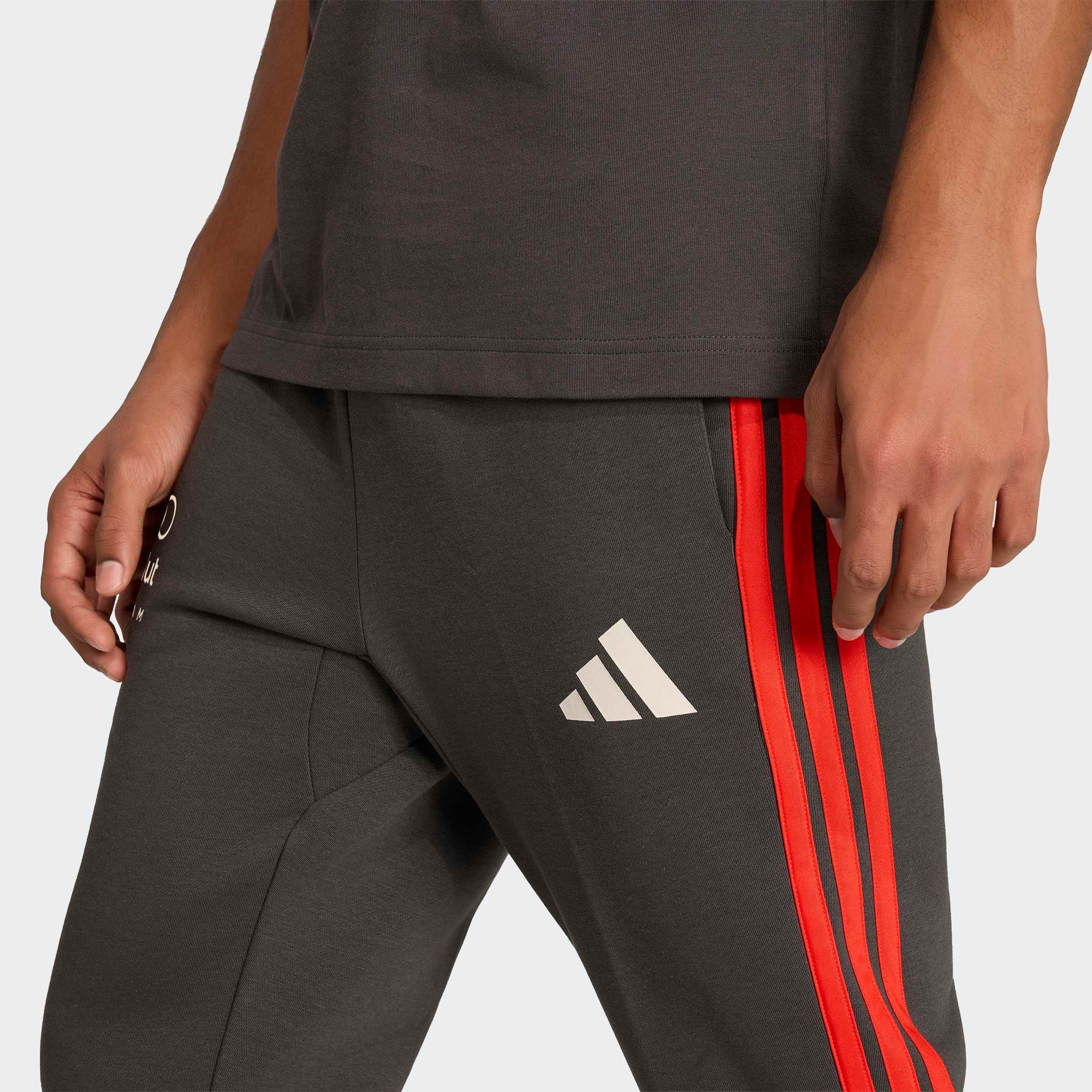 adidas Performance Sporthose »AUDI FORMULA ONE TEAM DNA«