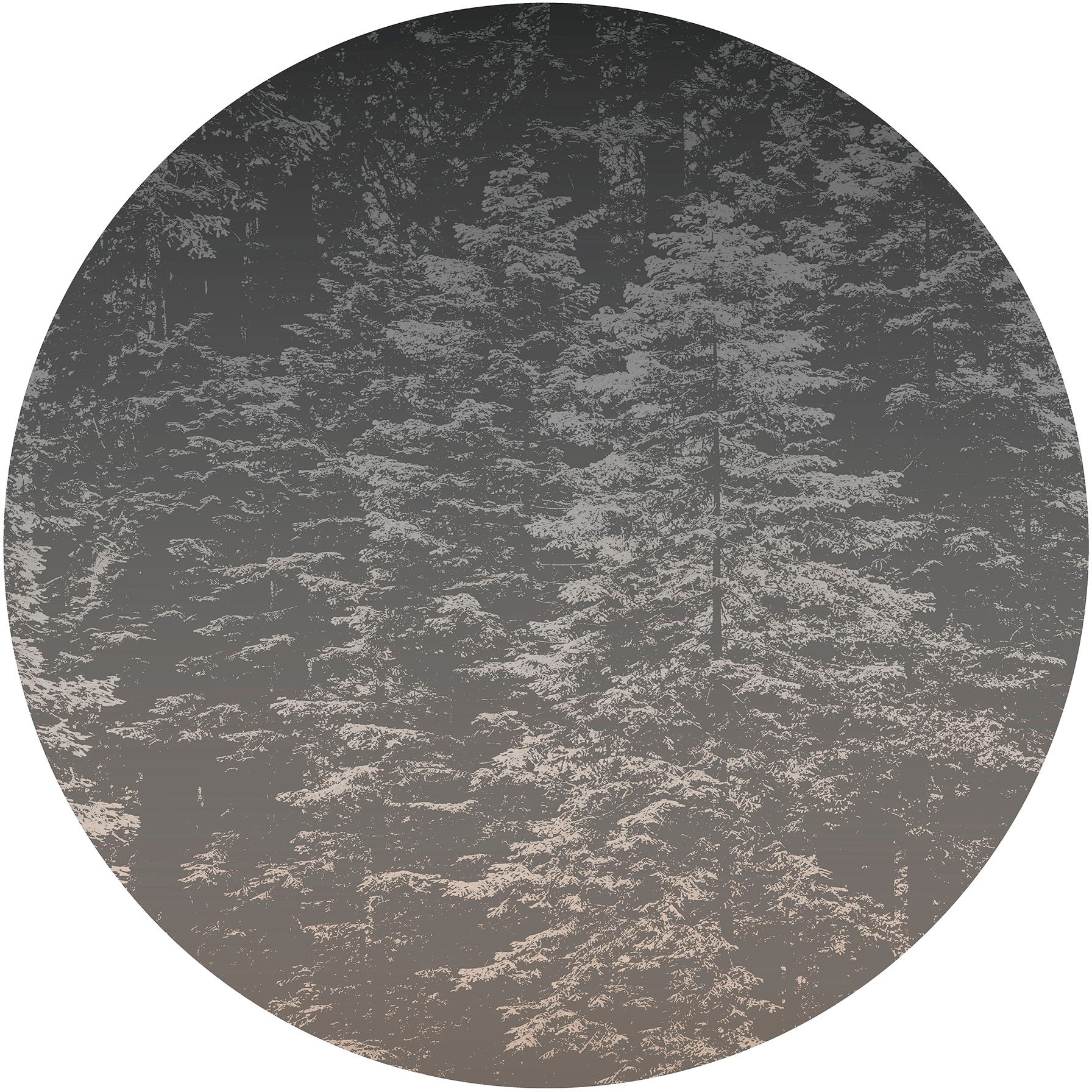 Fashion for walls Fototapete »Hazy Pines«, floral-gepflegt, Phthalate frei