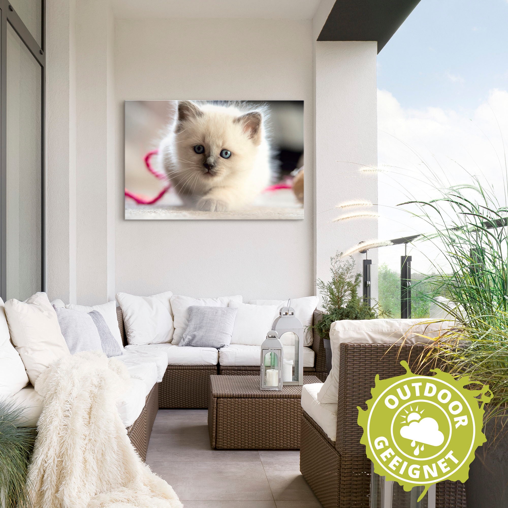 Artland Leinwandbild »Heilige Birma Katze im Spiel«, Katzenbilder, (1 St.), auf Keilrahmen gespannt