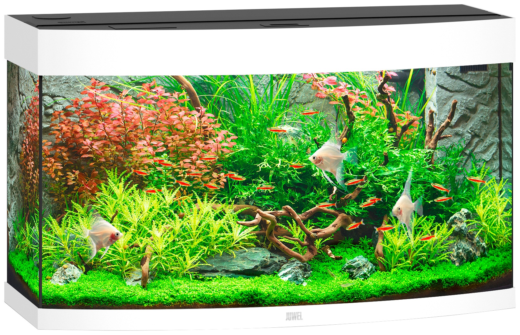Juwel Aquarien  Aquarium Vision 180 Led, 180 Liter, Bxtxh: 92x41x55 Cm