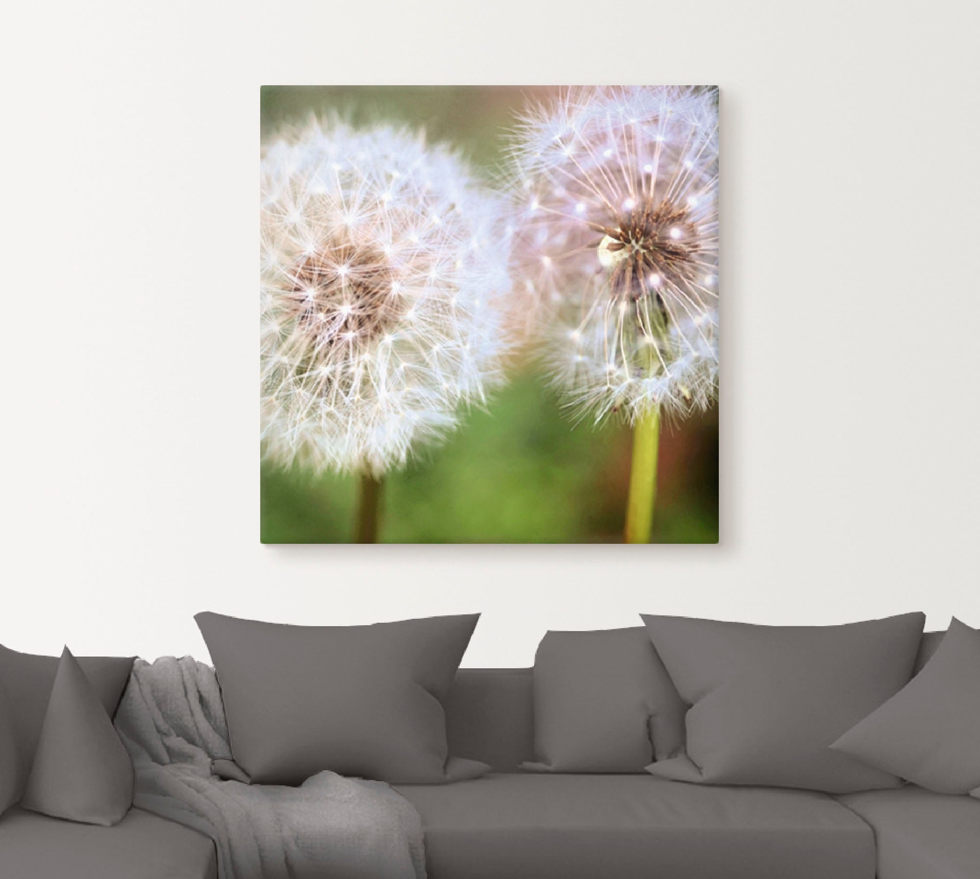 Artland Leinwandbild "Pusteblume Zweisamkeit", Blumen, (1 St.), auf Keilrah günstig online kaufen