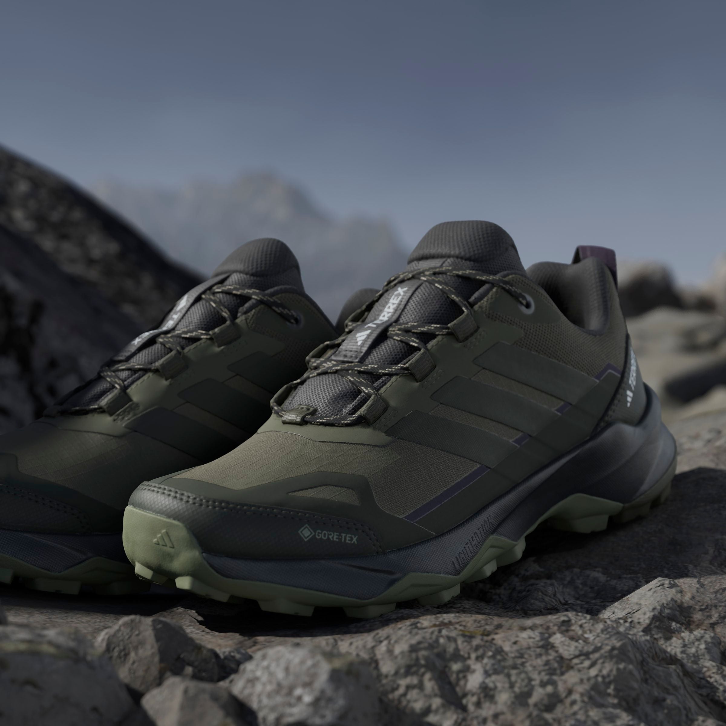 adidas TERREX Wanderschuh »TERREX SKYCHASER AX5 GORE-TEX«