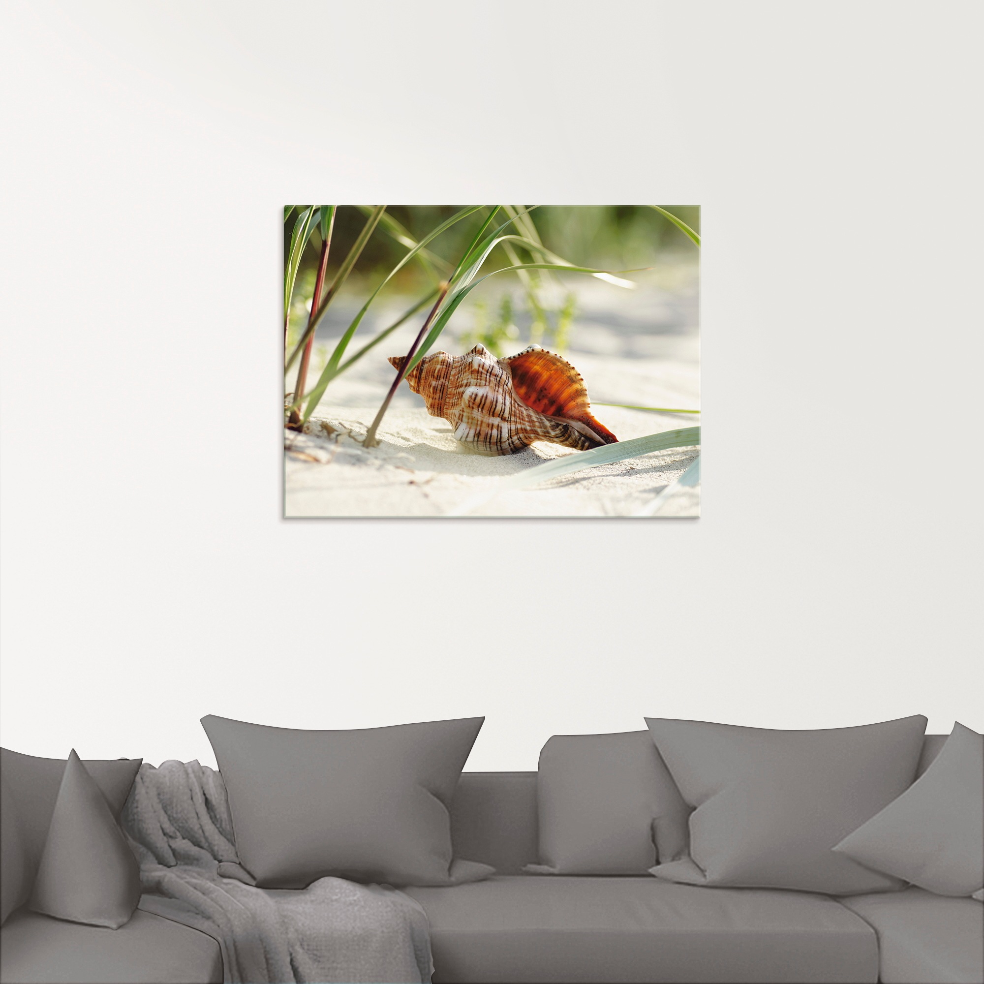 Artland Glasbild »Große Muschel am Strand«, Wassertiere, (1 St.), in verschiedenen Größen