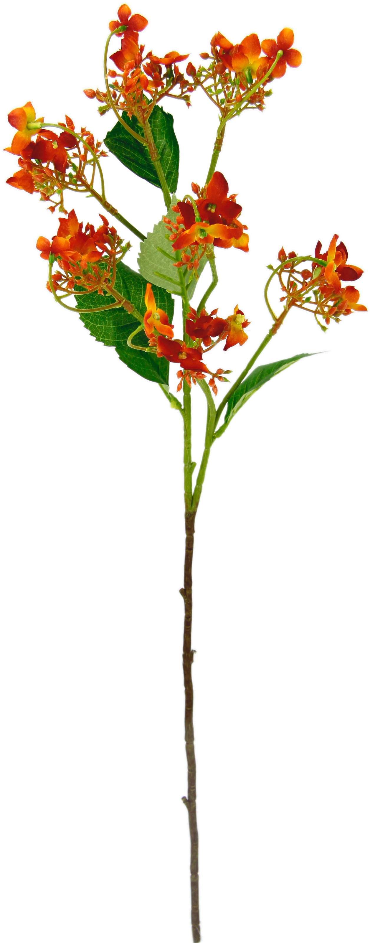 I.GE.A. Kunstblume »Blütenzweig«, Kunstpflanze, Set | Dekozweig BAUR bestellen 5er Zweig, künstlicher