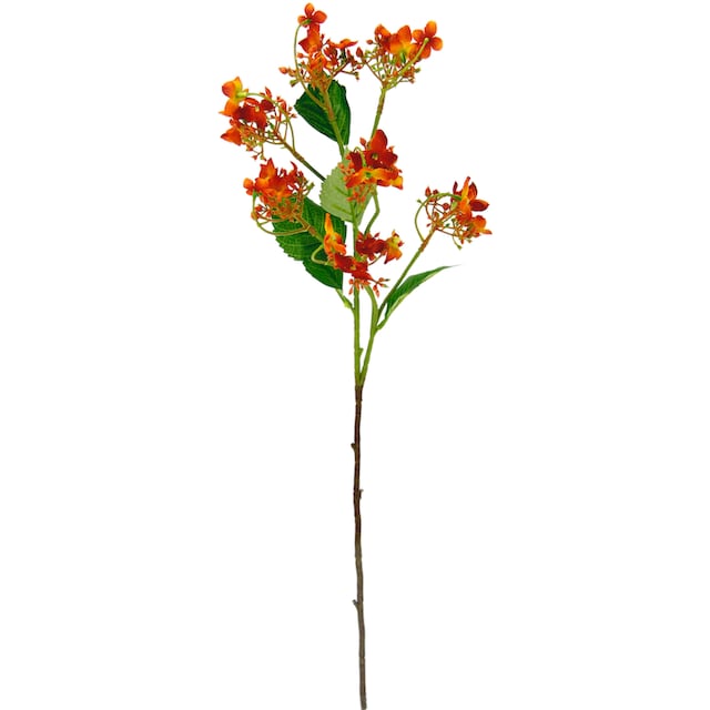 I.GE.A. Kunstblume »Blütenzweig«, 5er Set künstlicher Zweig, Kunstpflanze,  Dekozweig bestellen | BAUR