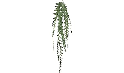 Creativ green Kunstgirlande »Epiphyllumranke«, (1 St.) kaufen