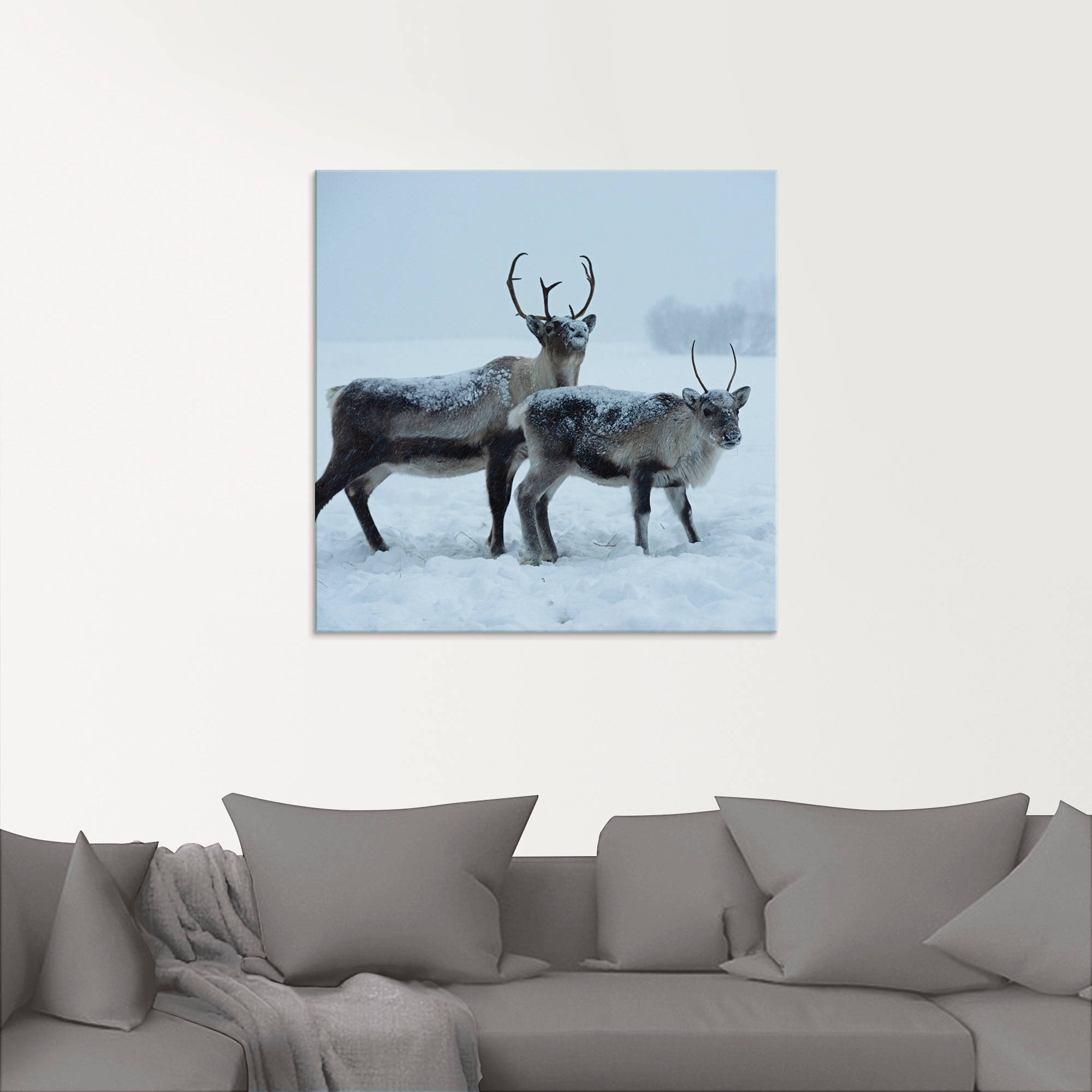 Artland Glasbild "Rentier" Wildtiere 1 Stk. tlg. in verschiedenen Größen