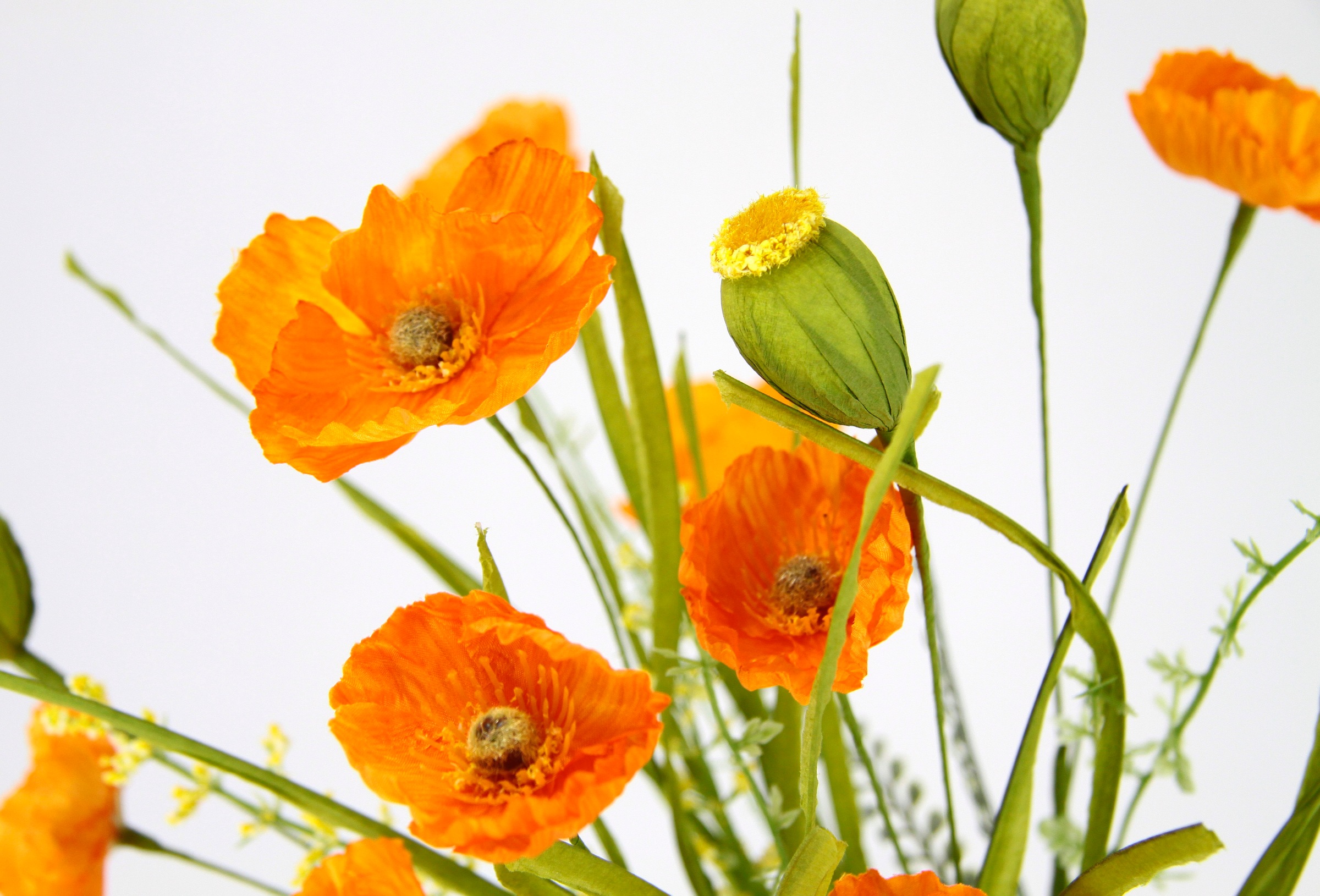 Kunstblume I.GE.A. "Mohnblumenbusch in Vase aus Keramik", orange, B:26cm H:47cm L:14cm, Polyester, Kunstpflanzen, Blumen Mohnblume Mohn Mohnbusch Bouquet Strauß Seidenblumenstrauß 2
