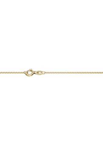 Collierkettchen »Schmuck Geschenk Gold 750 Halsschmuck Halskette Goldkette Rundanker«