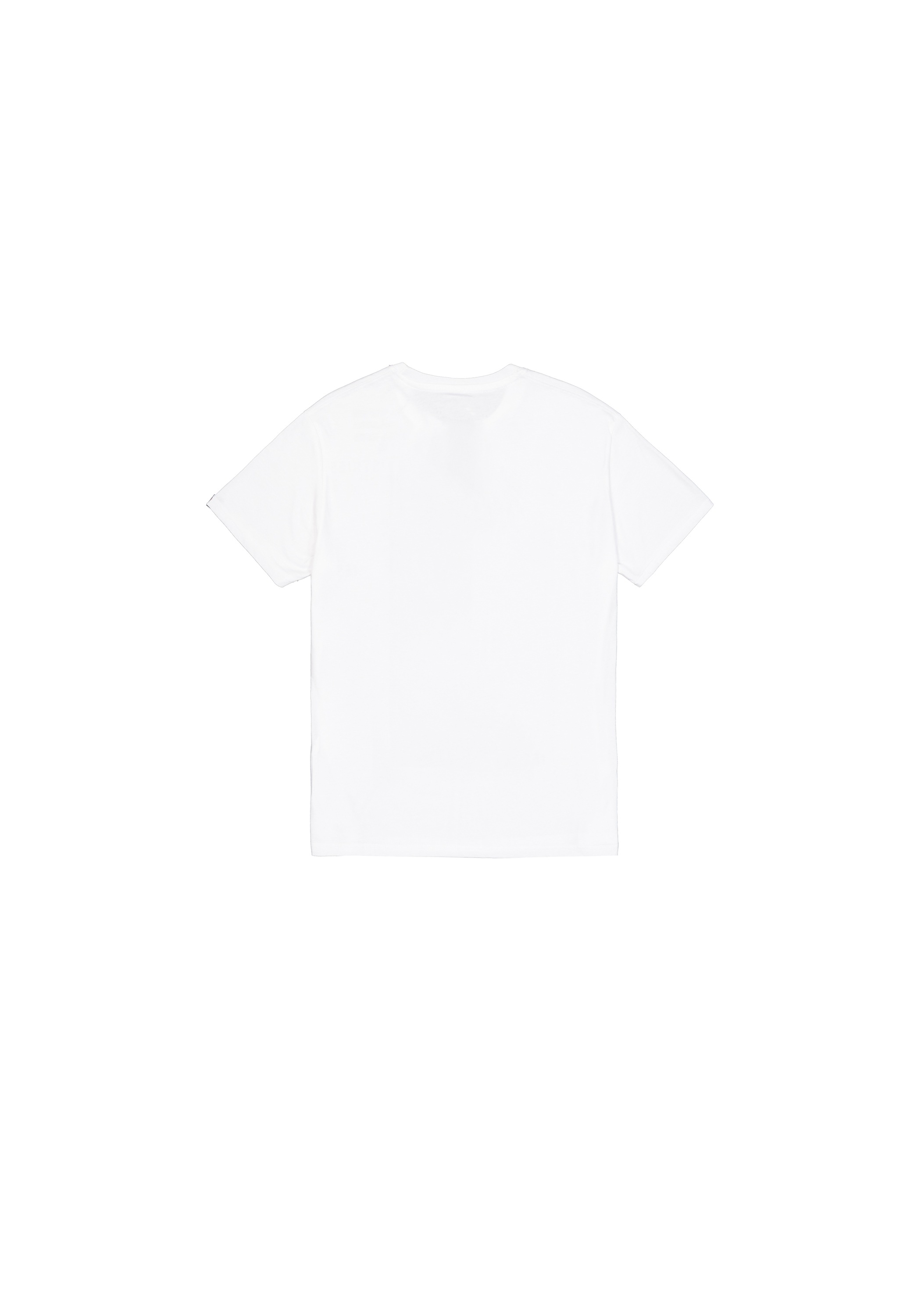 Alpha Industries T-Shirt »Alpha Industries Men - T-Shirts Basic T-Shirt SL«