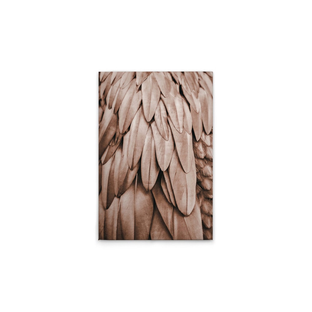 A.S. Création Leinwandbild "Feathers 1 - Wandbild Rosa Beige Keilrahmen Kun günstig online kaufen