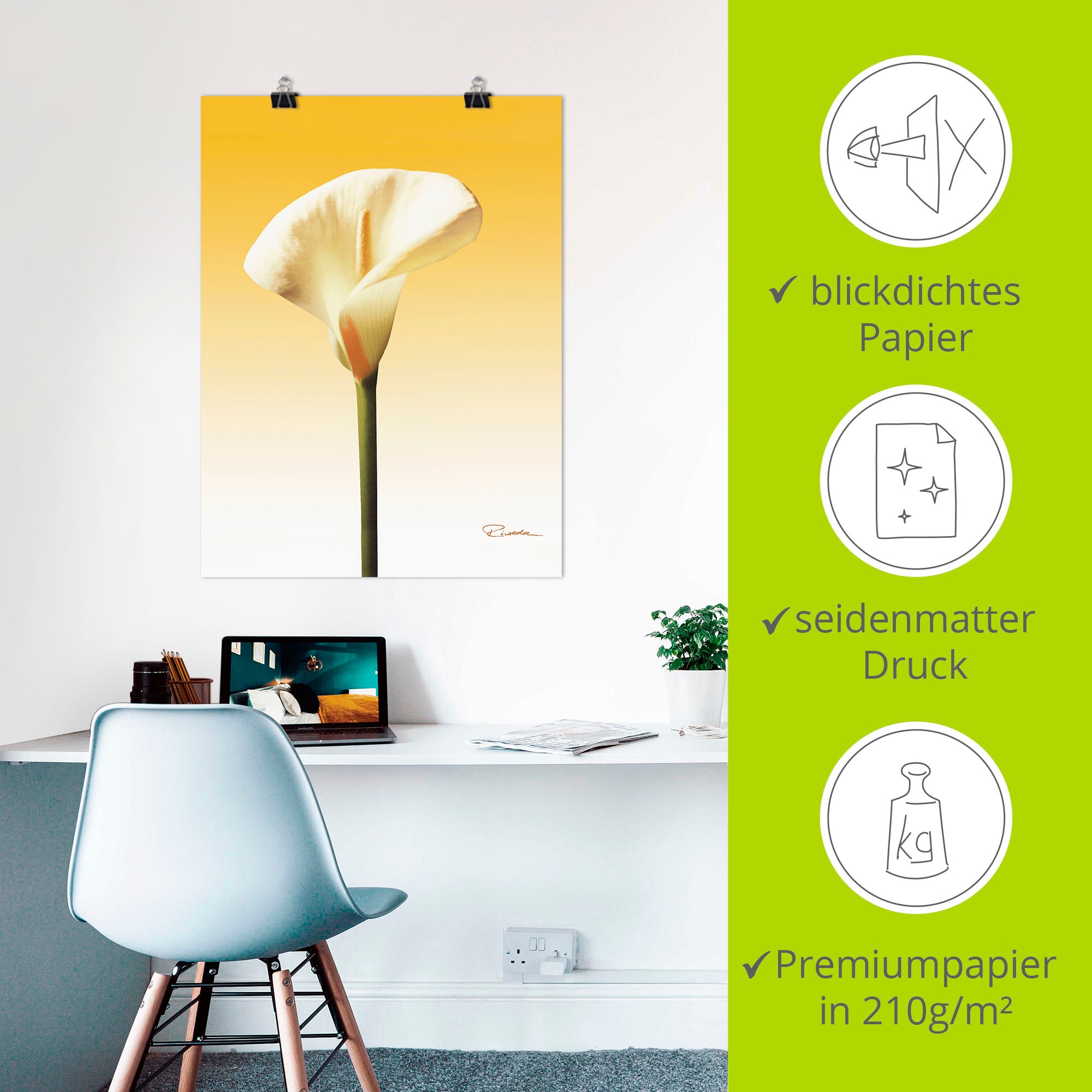 Artland Wandbild »Sonnenschein Calla II«, Blumenbilder, (1 St.), als Leinwandbild, Poster in verschied. Größen