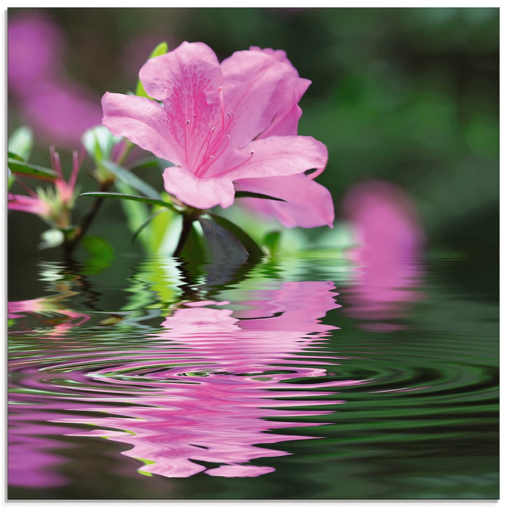 Artland Glasbild »Azalee«, Blumen, (1 St.)