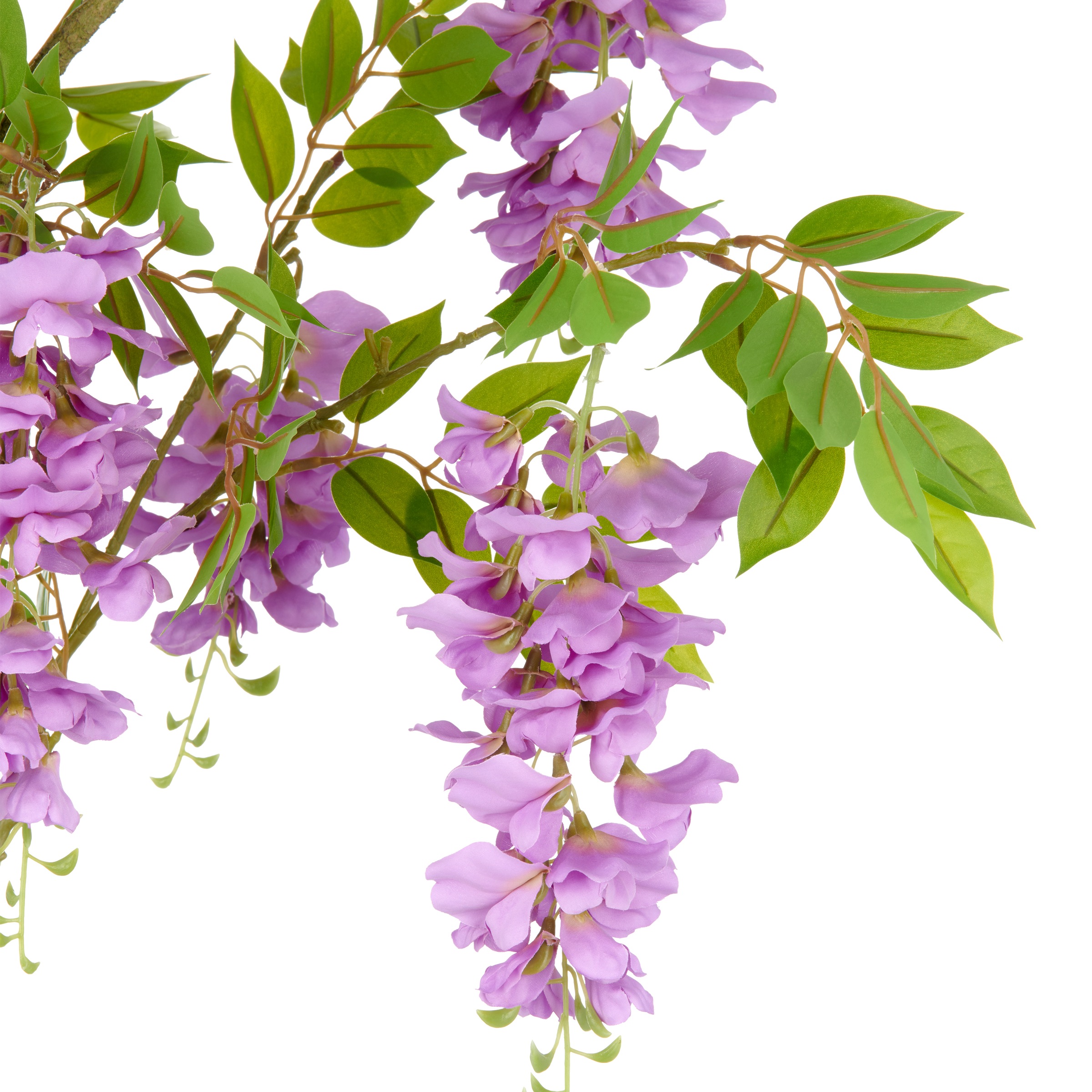 Creativ green Kunstpflanze »Wisteria«, mit zahlreichen Blüten