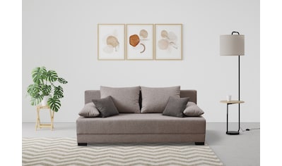 Schlafsofa »Dante, 198 cm, mit Bettfunktion (150/198 cm) und Bettkasten,«