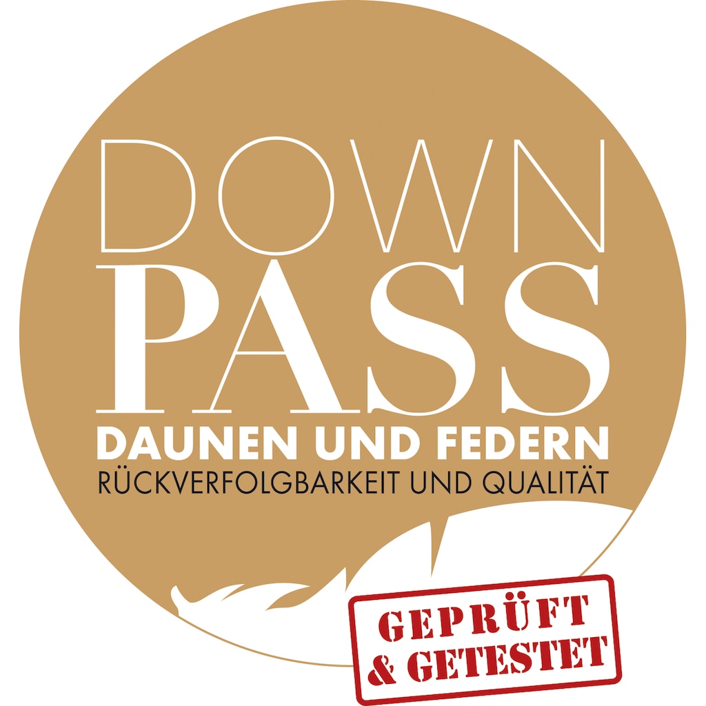 Haeussling Daunenkissen »Hygge Home Plissee (biobasiert) 3-Kammer-Kissen«, Füllung: Außenkammer mit 90% Daunen, 10% Federn, (1 St.)