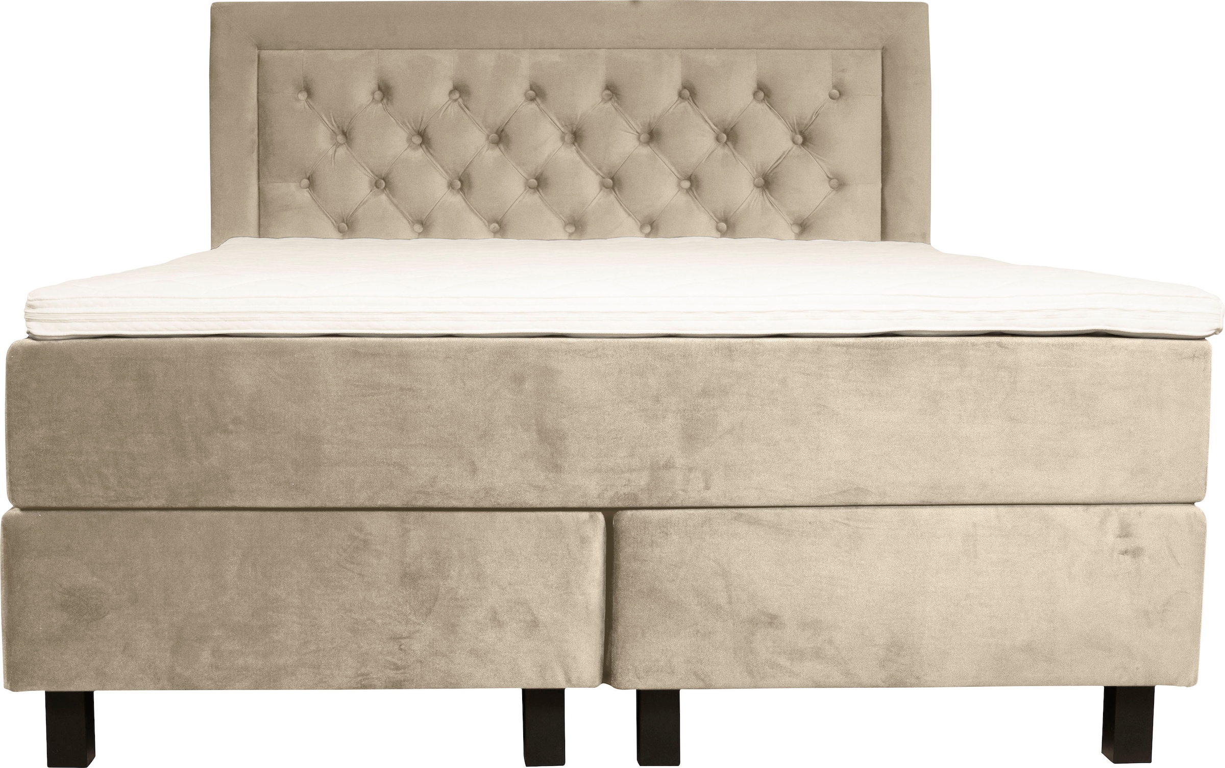 Leonique Boxspringbett »Jeanne«, inkl. Topper mit Taschen-Federkernmatratze
