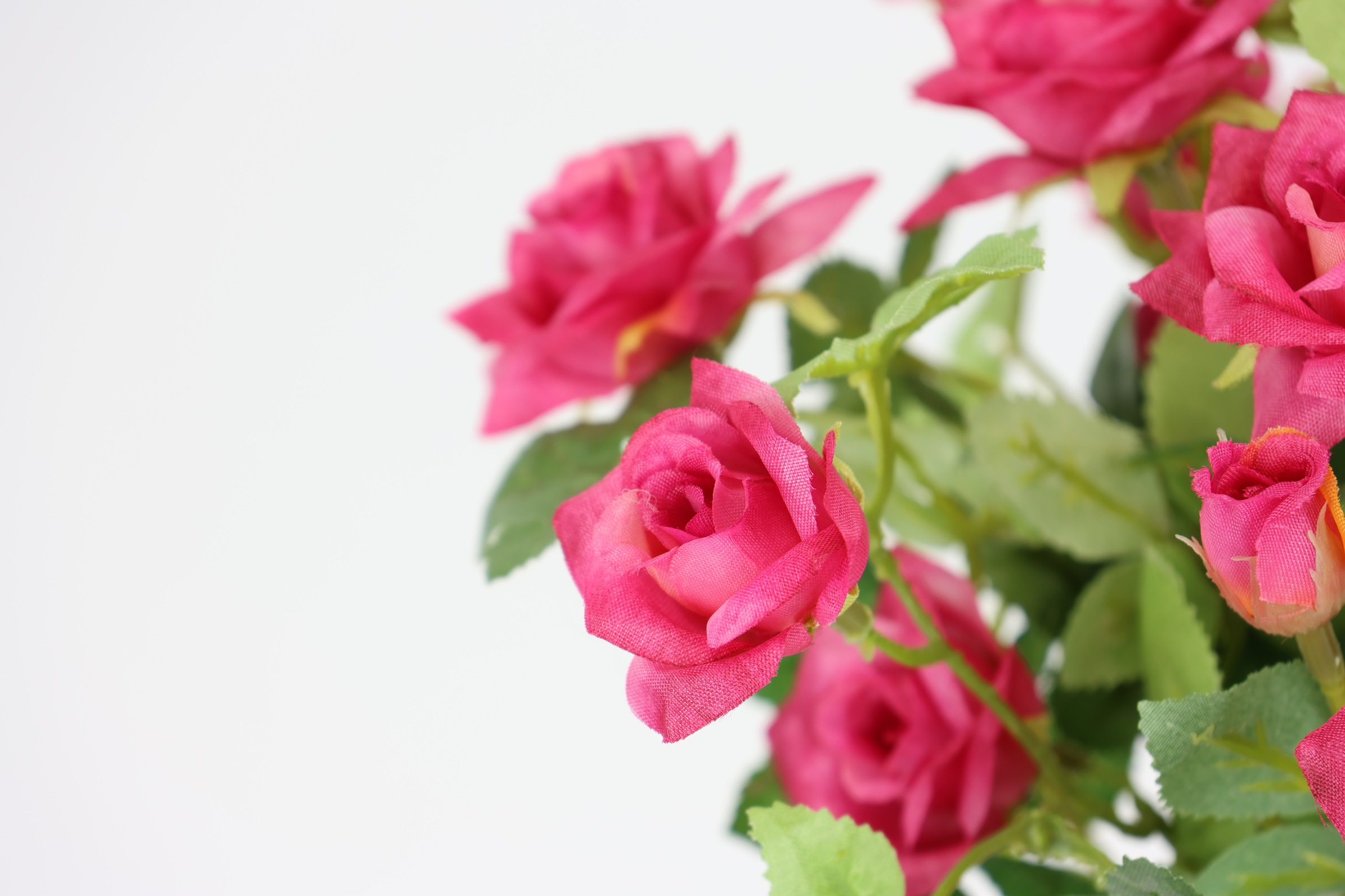 I.GE.A. Kunstblume "Wildrosen Busch im Topf", Rosen Kunstrosen Kunstpflanze günstig online kaufen