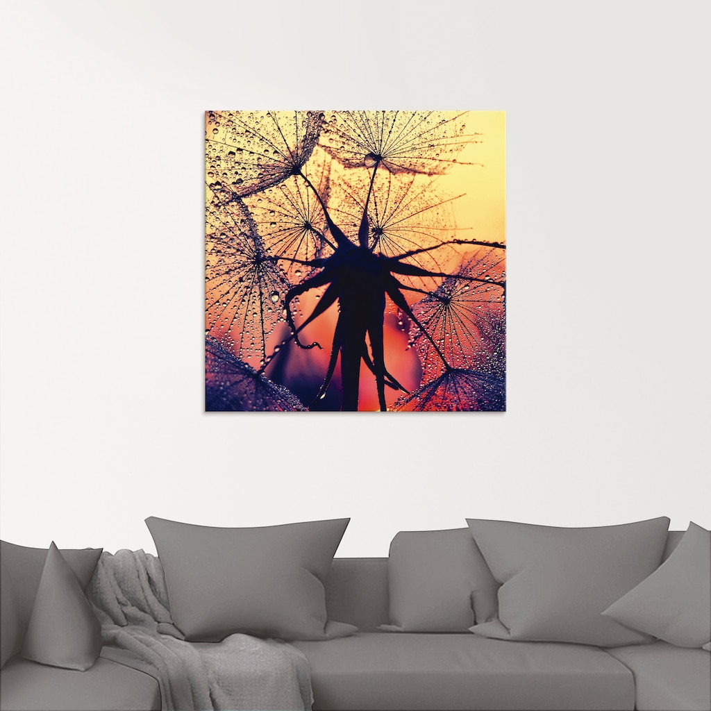 Artland Glasbild »Pusteblume im Sonnenuntergang«, Blumen, (1 St.)