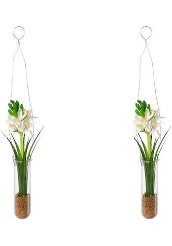 Creativ green Kunstblume »Hyacinthe in Hängevase«