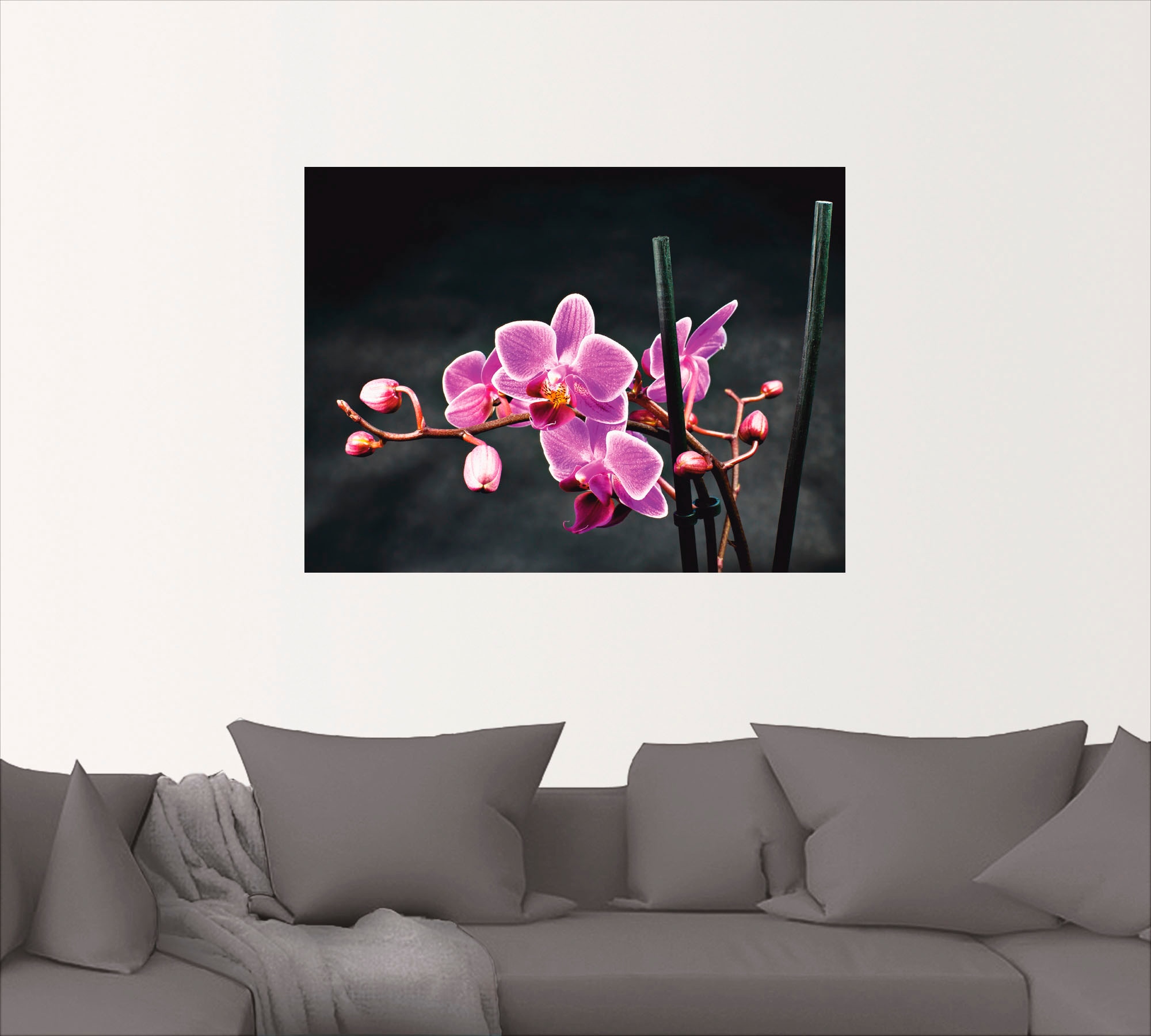 Artland Wandbild "Eine Orchidee vor schwarzem Hintergrund", Blumen, (1 St.) günstig online kaufen