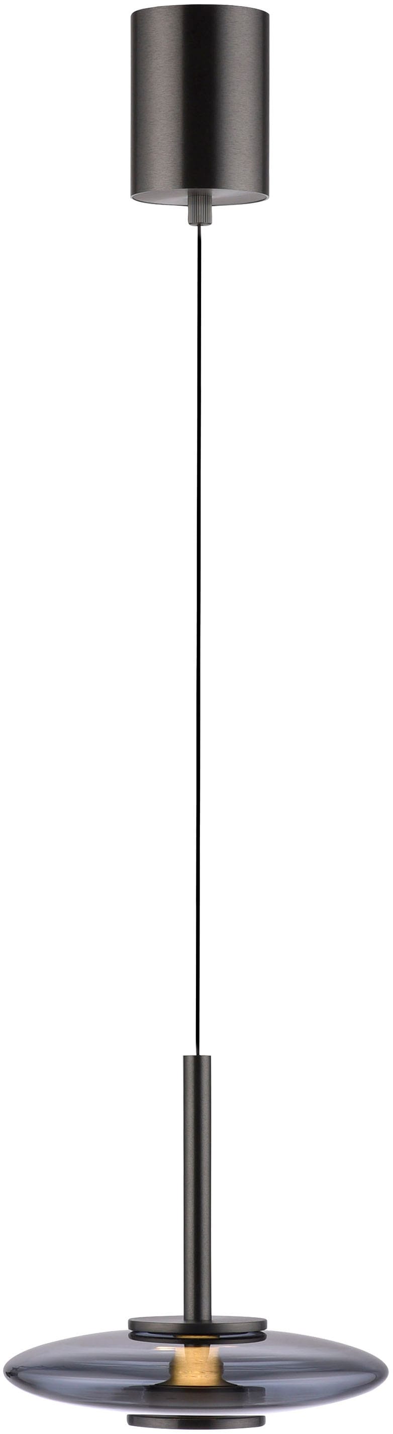 Neuhaus PURE LED Pendelleuchte »PURE Vitrum« LED-Board 1 Stk. Warmweiß Comfort Lift, dimmfähig über separaten Tronicdimmer