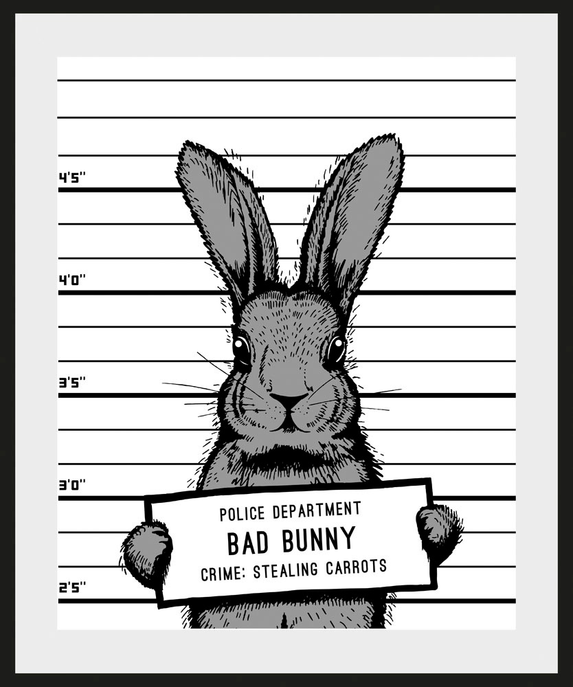 queence Bild "Akani" Haustiere  Humor  Schwarz-Weiß 1 Stk. tlg. HD Premium günstig online kaufen