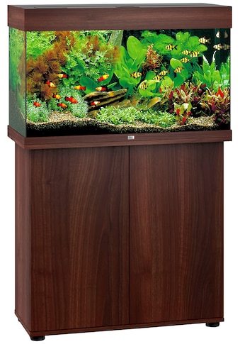 JUWEL AQUARIEN Aquarien-Set »Rio 125 LED« 125 Liter G...