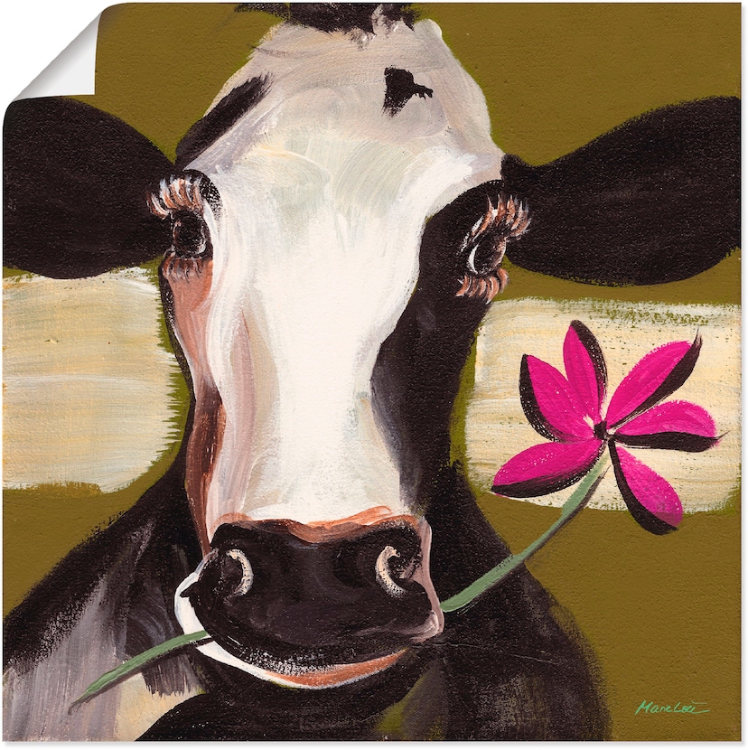 Artland Wandbild »Kuh Kontakt«, Haustiere, (1 St.), als Alubild,  Leinwandbild, Wandaufkleber oder Poster in versch. Größen kaufen | BAUR