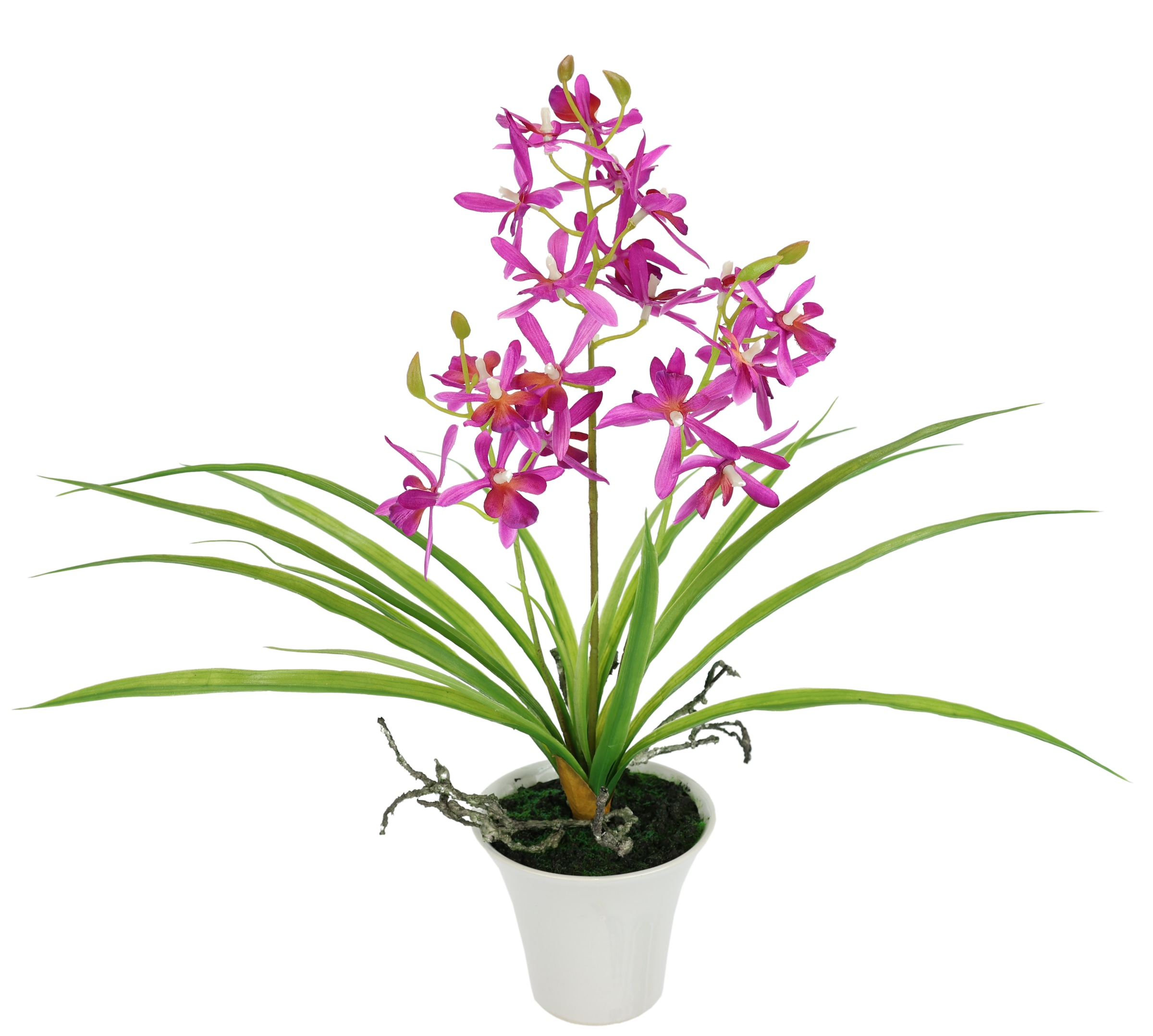 I.GE.A. Kunstorchidee "Künstliche Orchidee mit Topf" Dekoblume Kunstblume 4 günstig online kaufen