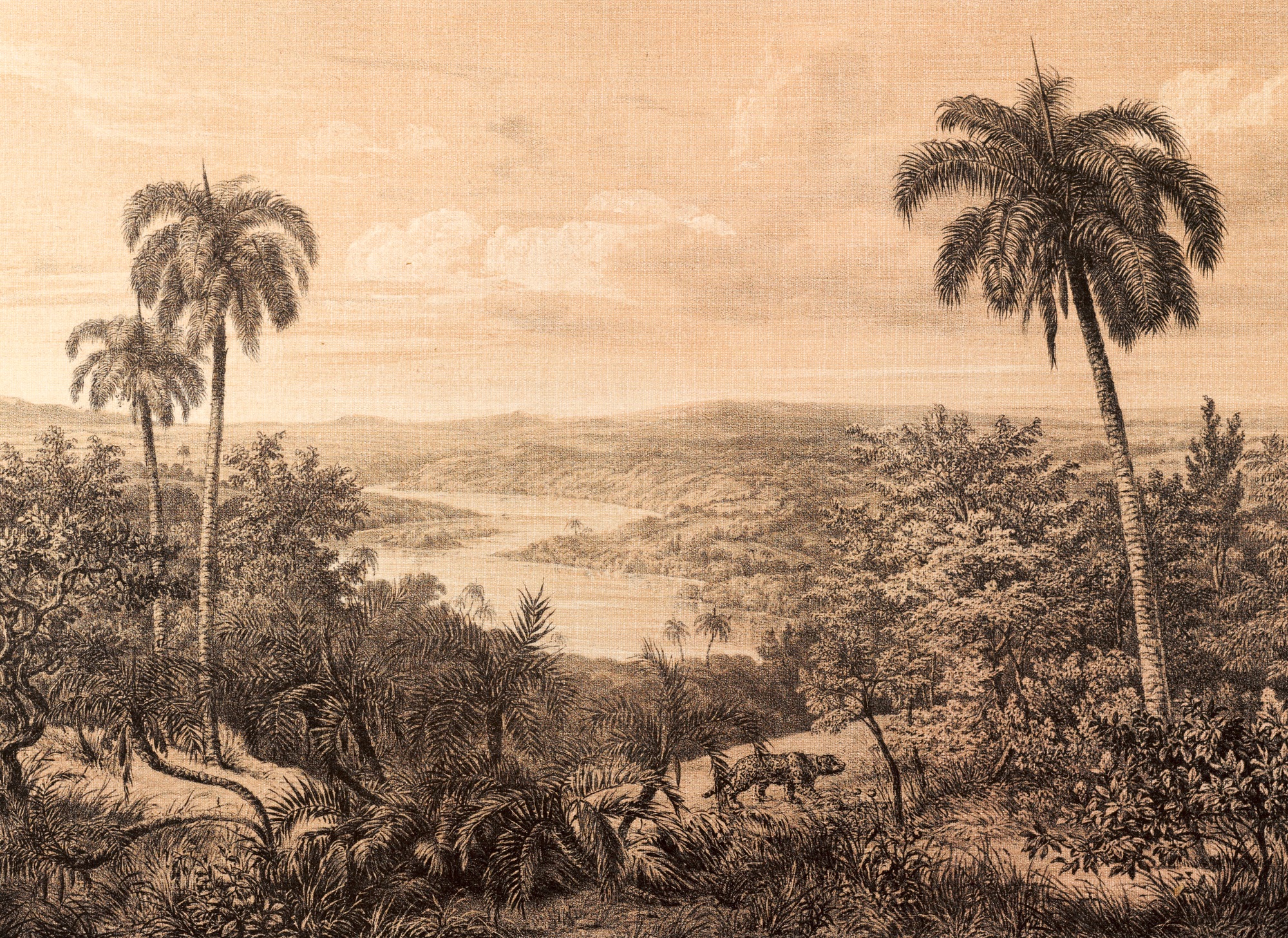 A.S. Création Vliestapete »Fototapete Tropenpanorama Sepia Vintage Dschungel« matt strukturiert