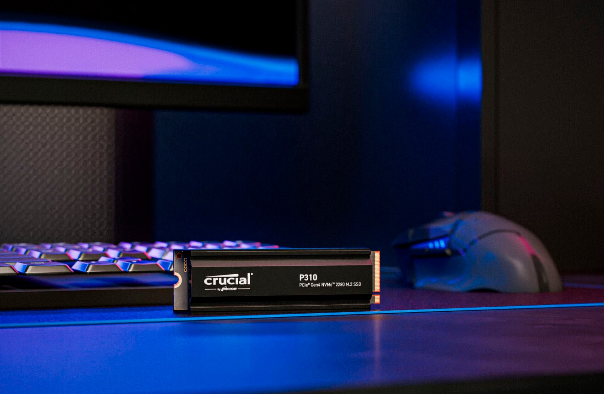 Crucial SSD-Festplatte »P310 Gen4 2280 1TB mit Heatsink« 1000 GB Anschluss M.2 (2880)