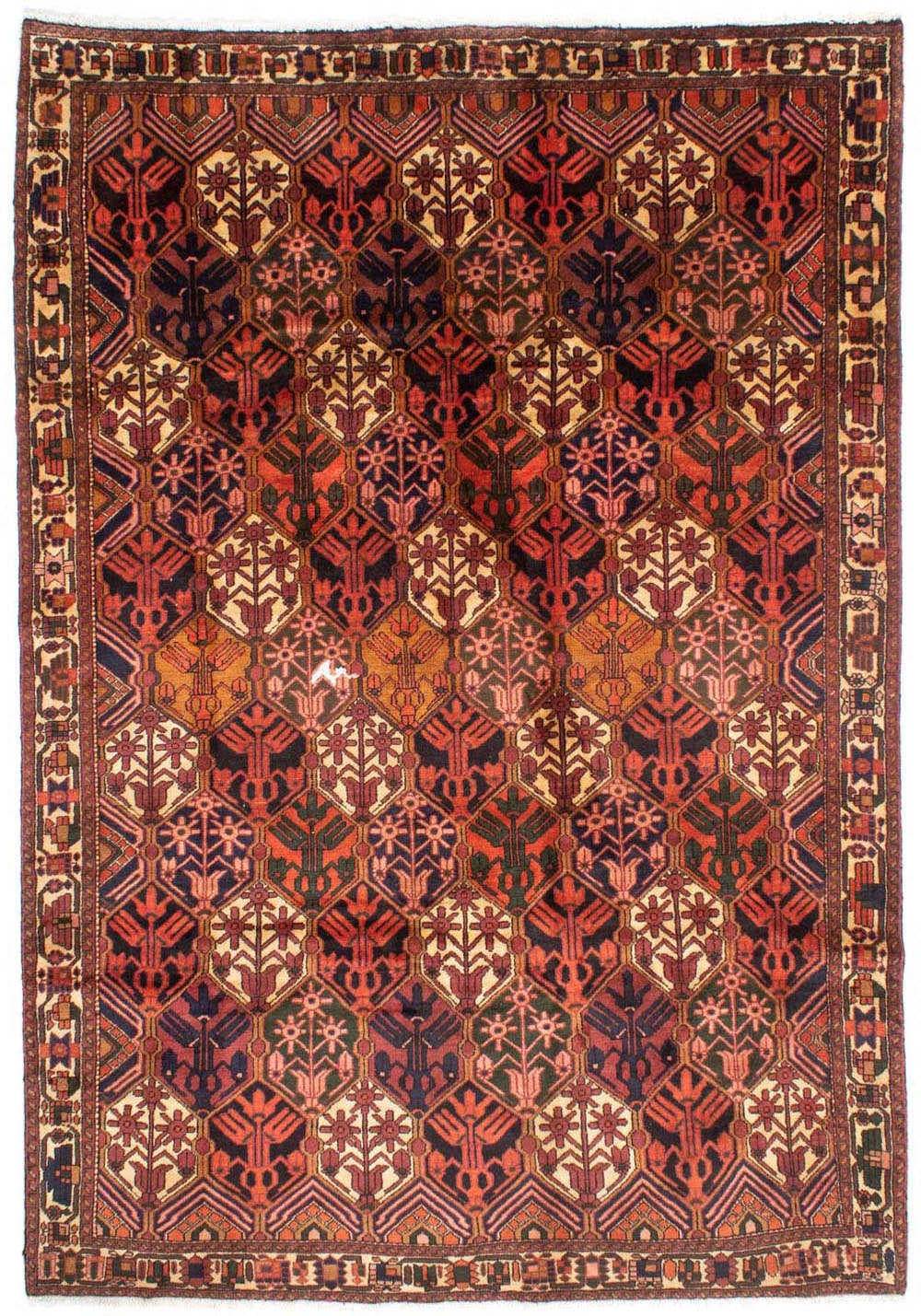 morgenland Wollteppich »Bachtiar Durchgemustert Rosso chiaro 288 x 210 cm«, rechteckig, Unikat mit Zertifikat