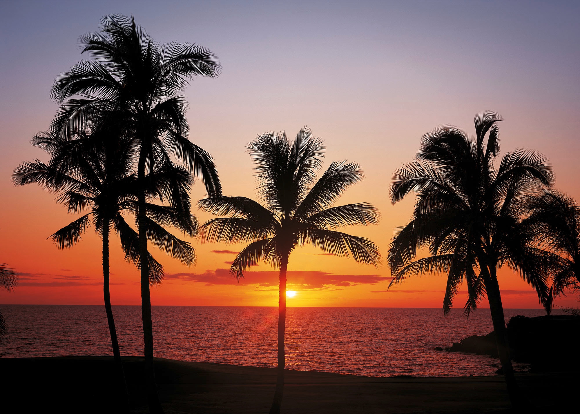 Komar Fototapete »Hawaii«, 368x254 cm (Breite x Höhe)