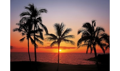 Fototapete »Hawaii«