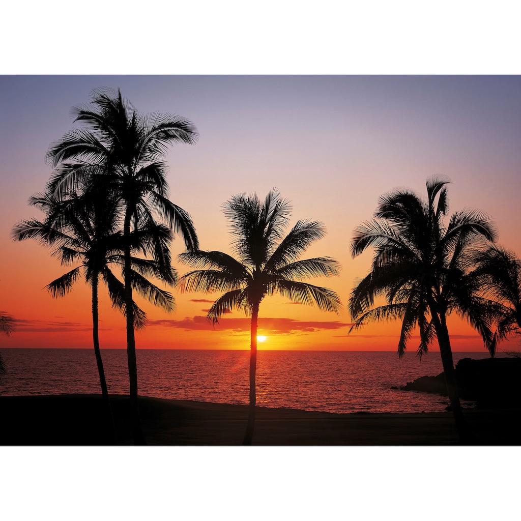 Komar Fototapete »Hawaii«