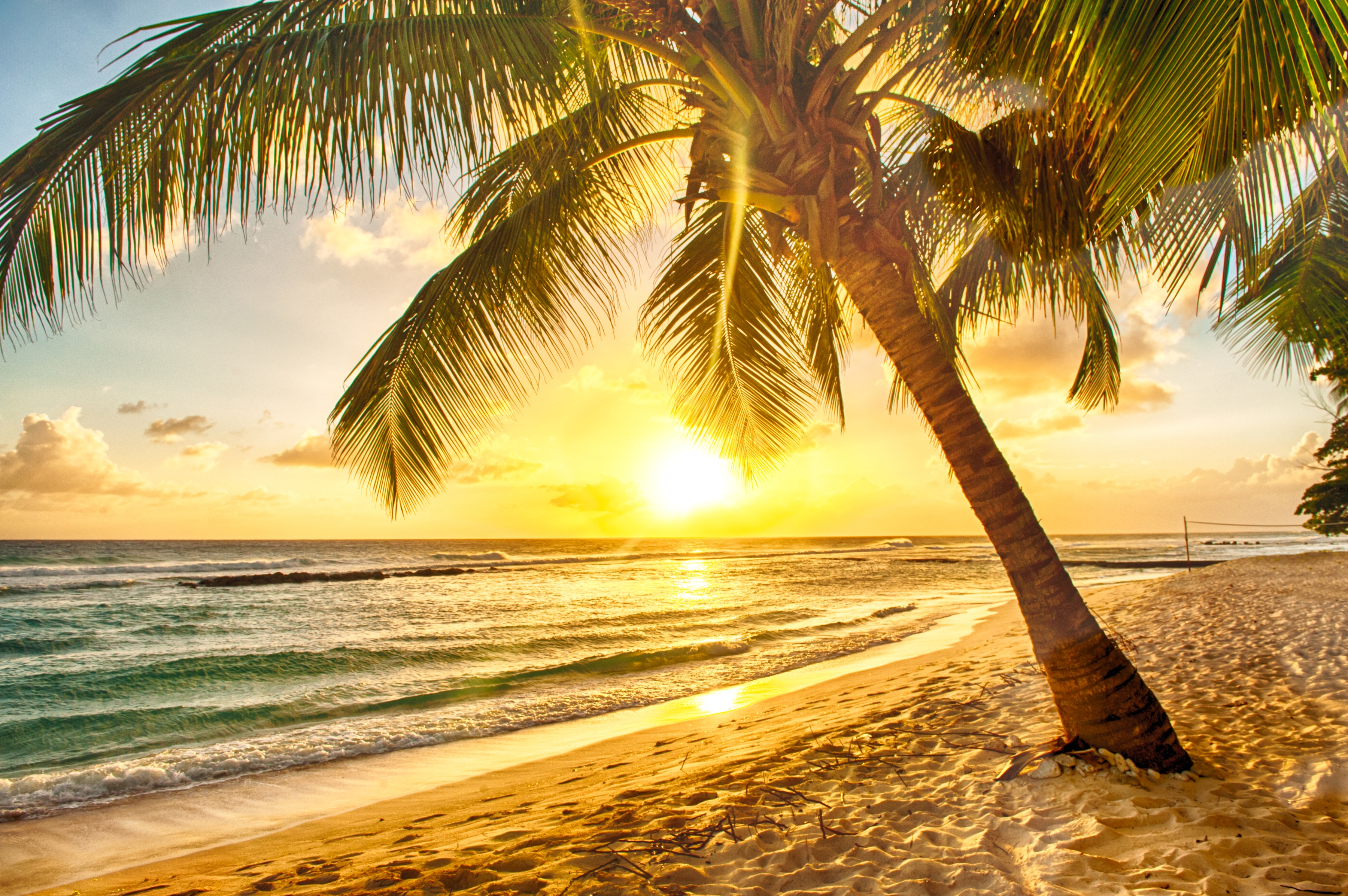 Papermoon Fototapete "Barbados Palm Beach" glatt