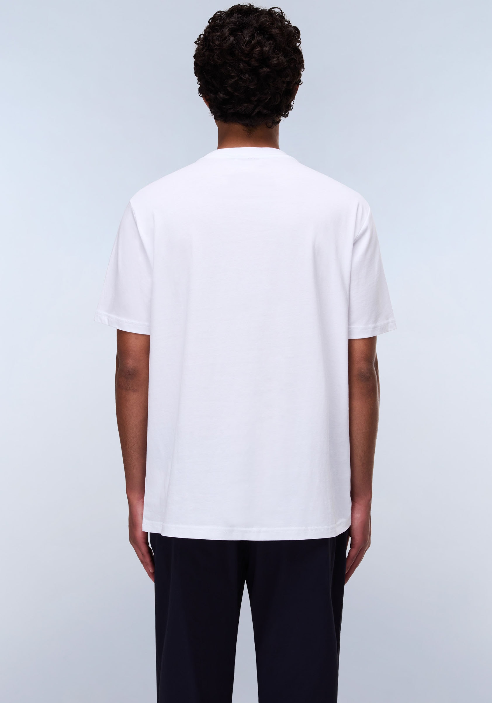 Napapijri T-Shirt »DRAPEAU«, mit Print, Rundhals, Jersey
