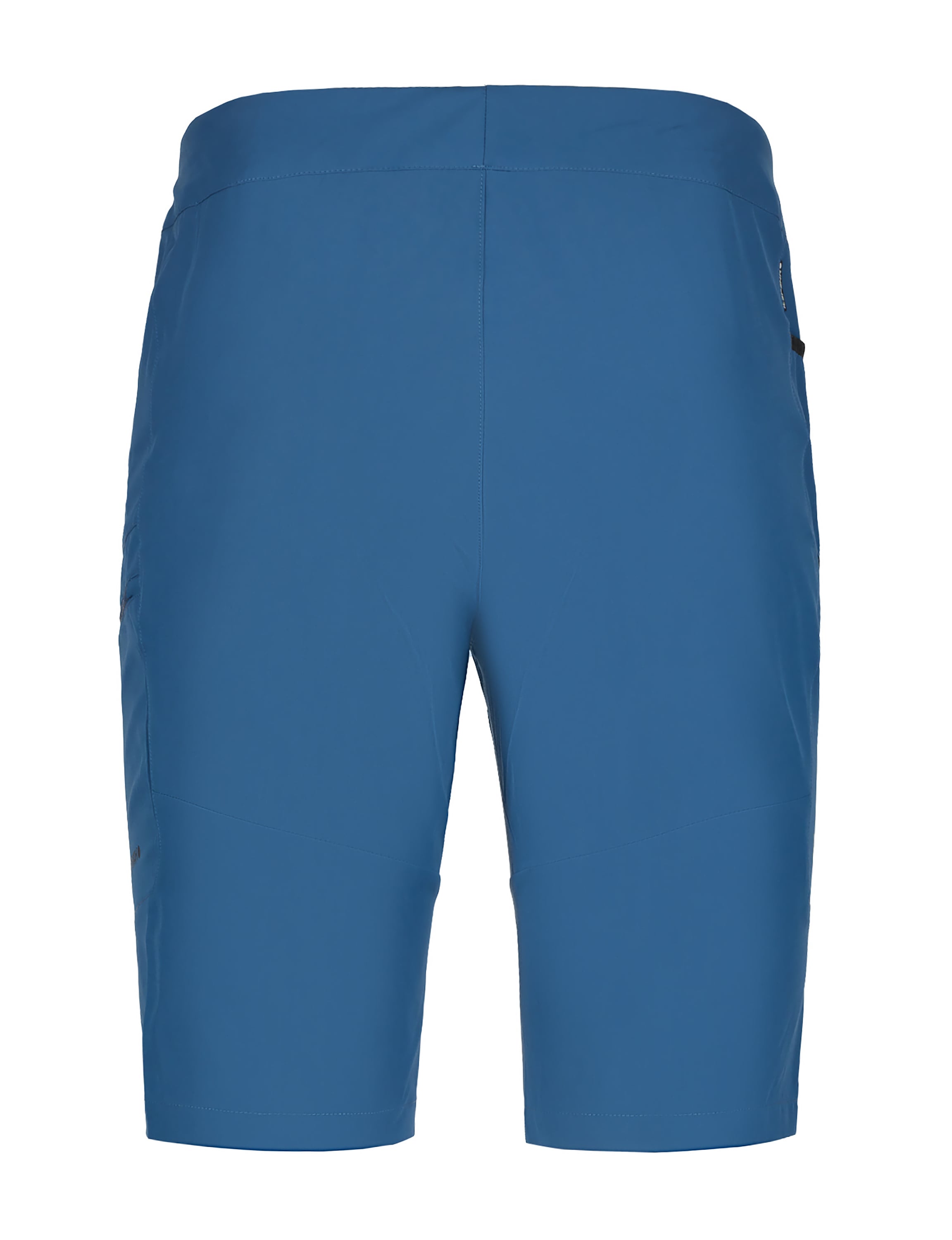 Icepeak Trekkingshorts »Icepeak Shorts BAXTER«