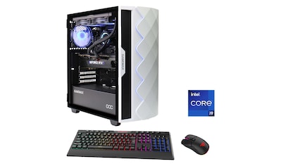 Gaming-PC »Diamond WT 6973«