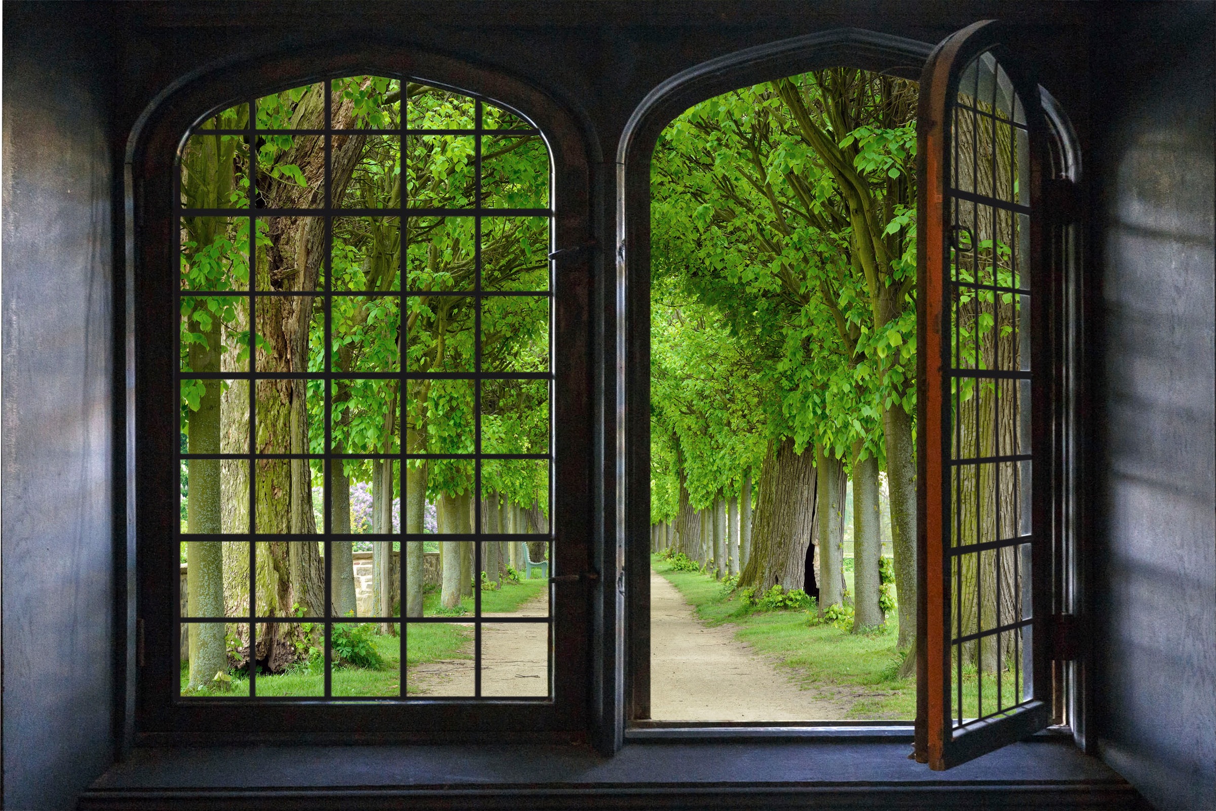 queence Wandsticker »Allee«, Wandsticker, Wandbild, selbstklebend, 3D, Fenster