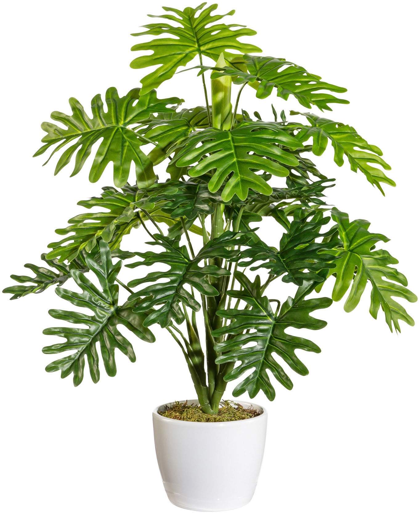 OTTO home Kunstpflanze im Topf günstig online kaufen