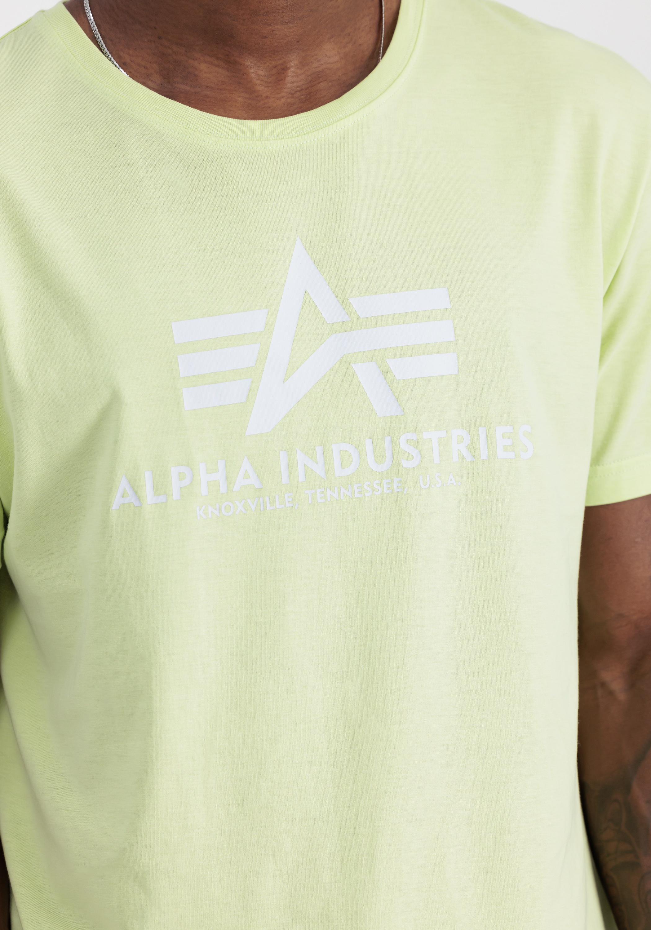 Alpha Industries T-Shirt »Basic T-Shirt BL«