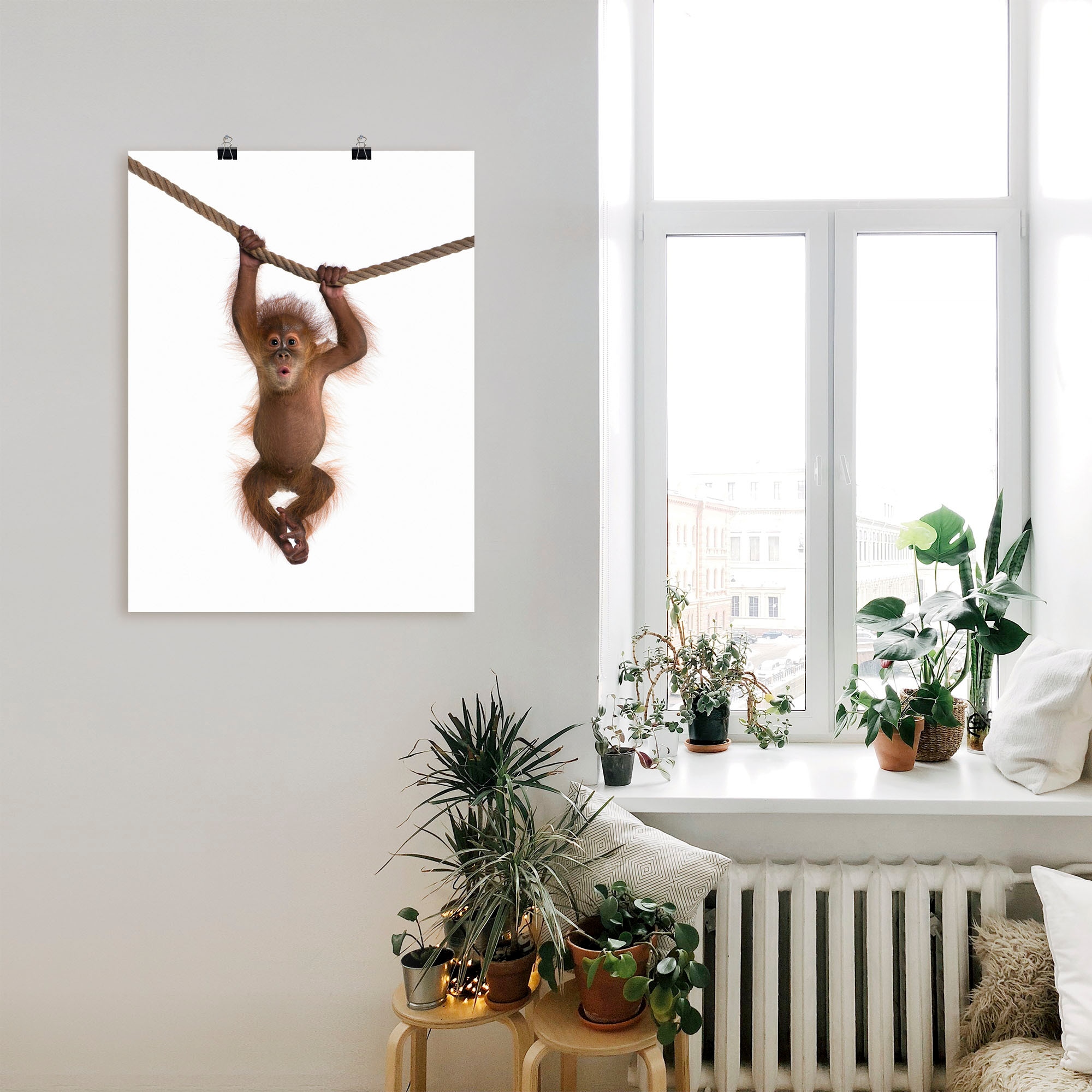 Artland Wandbild »Baby Orang Utan hängt an Seil II«, Wildtiere, (1 St.), als Alubild, Outdoorbild, Leinwandbild, Poster, Wandaufkleber